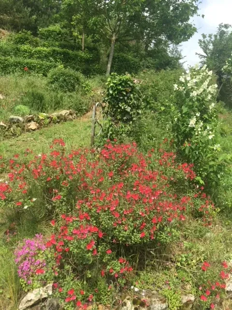 Jardin de chamanisme