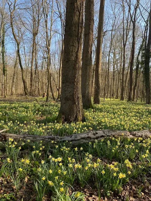 Jardin de chamanisme